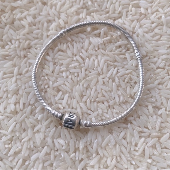 Pandora Jewelry Iconic Pandora Sterling Silver Moments Snake